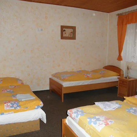 Guest house Mikulas V Krusnych Horach *